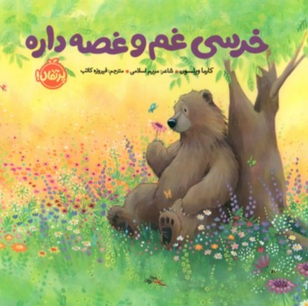 تصویر  خرسی غم و غصه داره (خشتی کوچک - گالینگور)